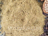Αντιπαρασιτική Τριάδα με Amanita (Amanita Muscaria) melena. 50 γρ/Тройчатка з МУХОМОРОМ - фото 2