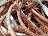 Premium Quality Copper Scrap Wire and Cable - фото 1