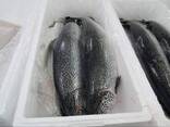 Fresh whole salmon fish - фото 1