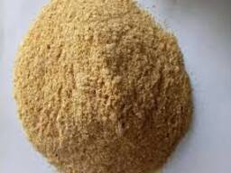 Growth-Focused Feed Blends – Engineered for Efficiency