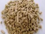 Growth-Focused Feed Blends – Engineered for Efficiency - фото 1
