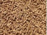 Growth-Focused Feed Blends – Engineered for Efficiency - фото 3