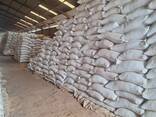 Growth-Focused Feed Blends – Engineered for Efficiency - фото 5