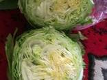 Iceberg - photo 1