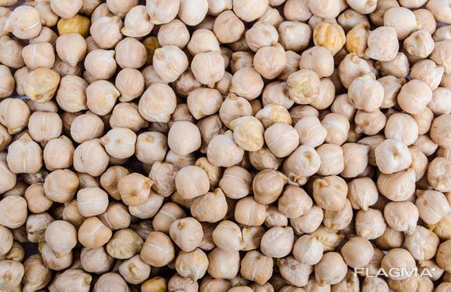 Export Chickpeas from Argentina