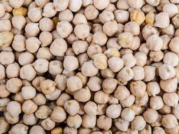 Export Chickpeas from Argentina