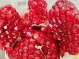 Pomegranates - photo 1