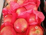Pomegranates - photo 2