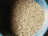 Premium Wood Pellets Available 6mm/8mm Fir, Beech Wood Pellets - фото 1