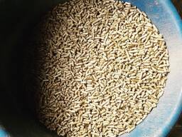 Premium Wood Pellets Available 6mm/8mm Fir, Beech Wood Pellets