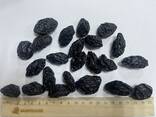 Prunes unpitted “Vengerka” from Uzbekistan