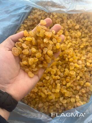 Raisins Golden Kalifar