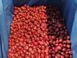Sour cherry frozen iqf - photo 1