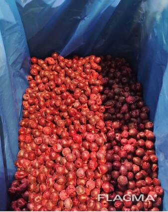 Sour cherry frozen iqf
