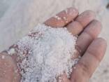 Technical salt - фото 2